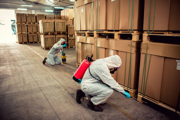Best Pest Prevention Services  in Wanamingo, MN