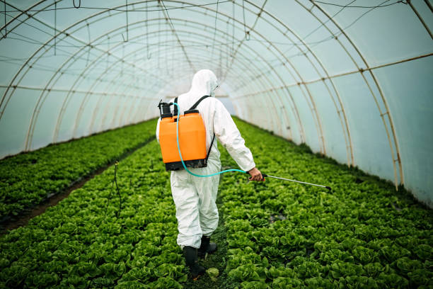Best Pest Control Treatment  in Wanamingo, MN
