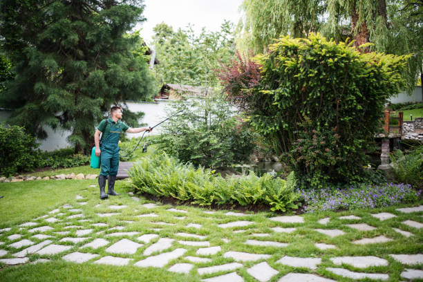 Best Pest Inspection Near Me  in Wanamingo, MN