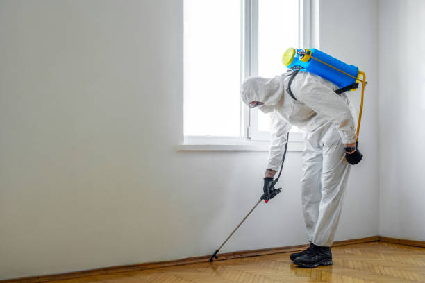 Best Best Pest Control Companies  in Wanamingo, MN