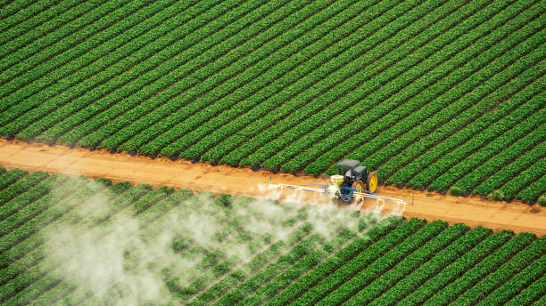 Pest Control Cost in Wanamingo, MN