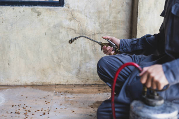 Best Pest Control Cost  in Wanamingo, MN